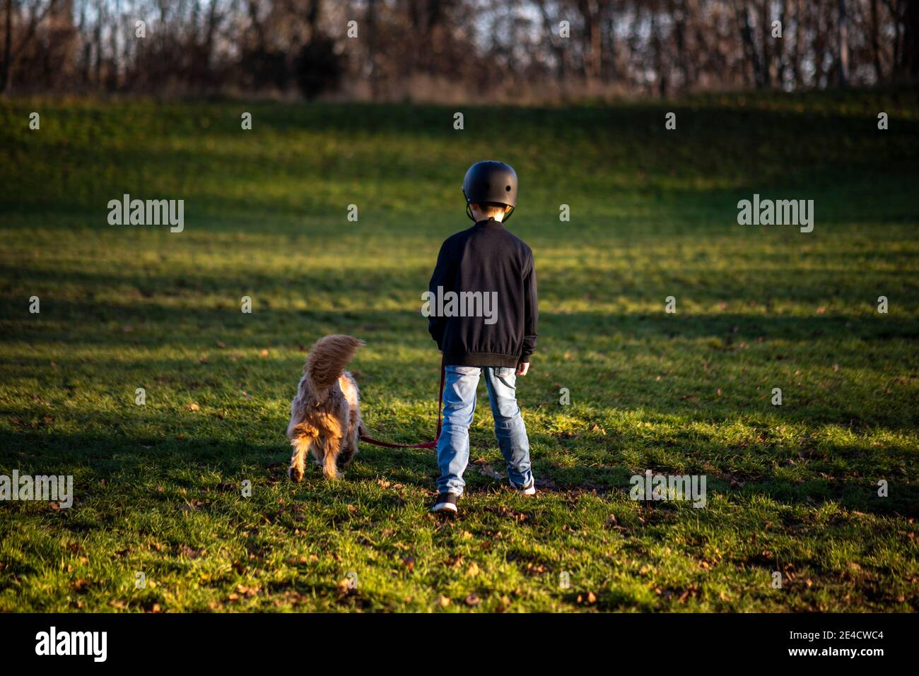 Junge geht mit Hund auf einer Wiese Stockfoto