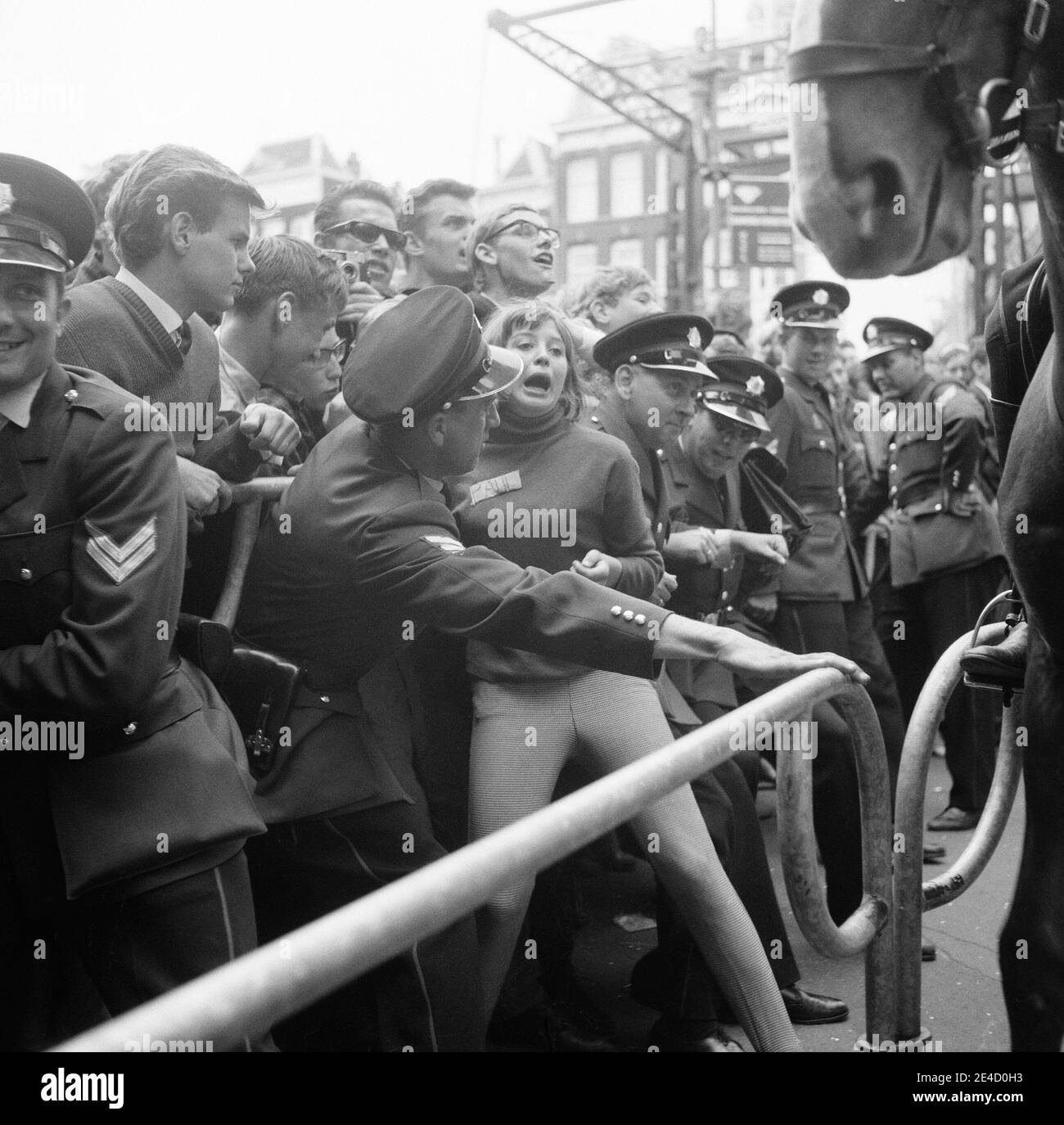 Die Polizei kämpft, um die Massen von Beatles-Fans zurückzuhalten, als die englische Rockband am 5. Juni 1964 nach Amsterdam, Nordholland kam. Stockfoto