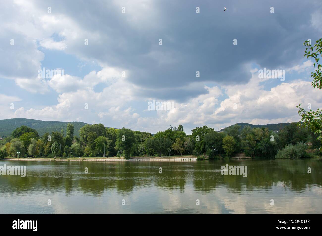 Schöne friedliche Natur, Bäume und Pflanzen auf einem See, Park, Sommersaison, Reflexion im Wasser, Zagorka See, Stara Zagora, Bulgarien Stockfoto