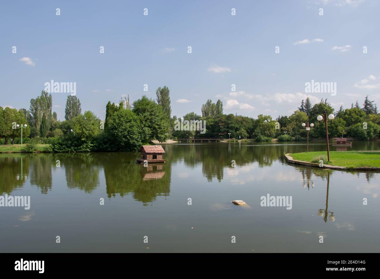 Schöne friedliche Natur, Bäume und Pflanzen auf einem See, schwimmende Vogelhaus, Sommersaison, Reflexion im Wasser, Zagorka See, Stara Zagora, BU Stockfoto