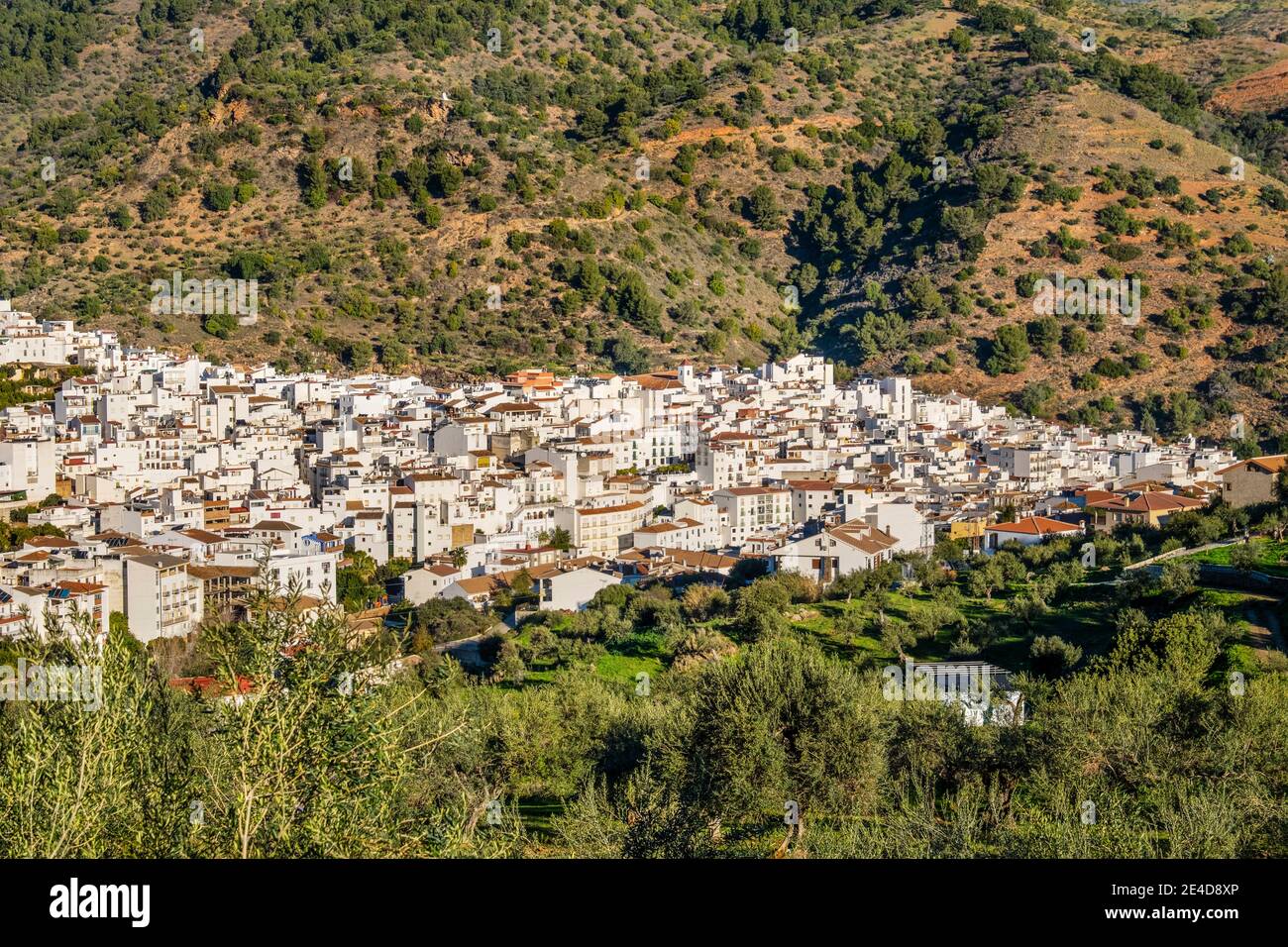 Blick auf das weiße Dorf Tolox im Naturpark Sierra de las Nieves, Provinz Malaga. Andalusien. Südspanien, Europa Stockfoto