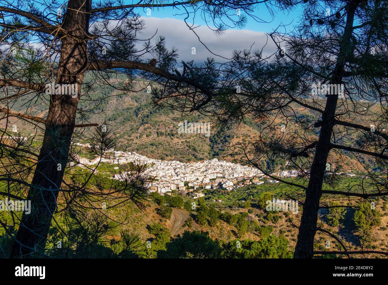 Blick auf das weiße Dorf Tolox im Naturpark Sierra de las Nieves, Provinz Malaga. Andalusien. Südspanien, Europa Stockfoto