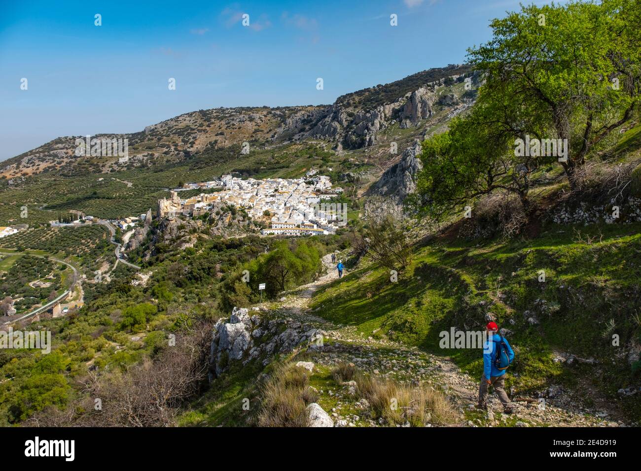 Trekking auf Zhueros, Naturlandschaft auf dem Berg Subbetica, Provinz Cordoba. Andalusien. Südspanien, Europa Stockfoto
