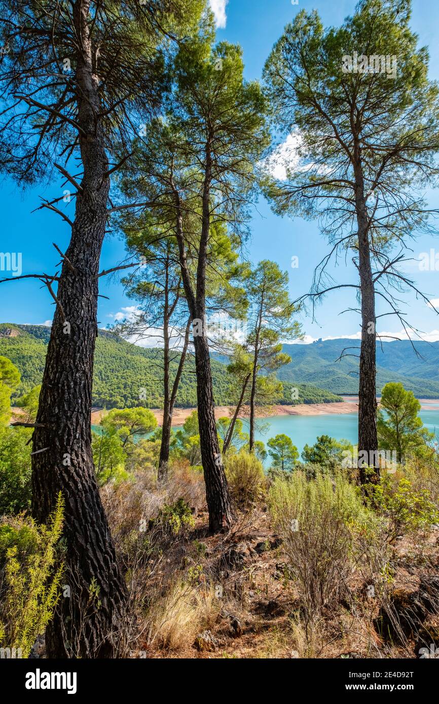 Naturlandschaft am Stausee el Tranco, Sierra de Cazorla, Naturpark Segura und Las Villas, Provinz Jaen, Andalusien, Südspanien Europa Stockfoto