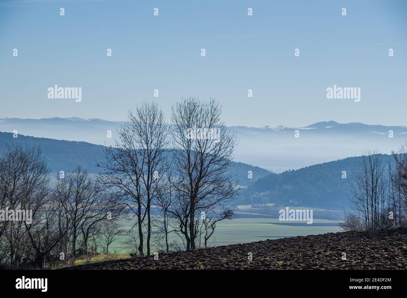 Bäume und Nebel in den Bergen im Winter Stockfoto