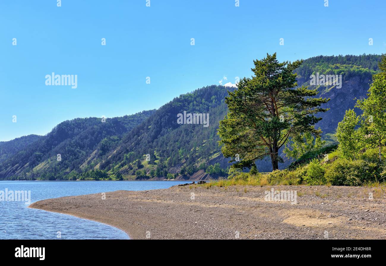 Einone Kiefer am Ufer des Baikalsees. Region Irkutsk. Russland Stockfoto