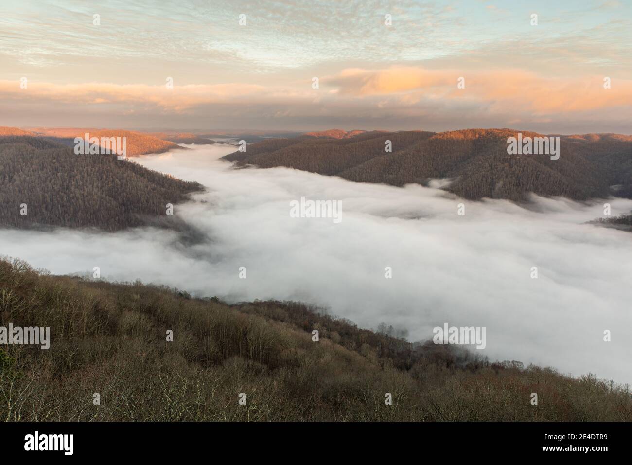Sonnenaufgang am frühen Morgen und Wolkeninversion im Pine Mountain State Park, Ky. Stockfoto