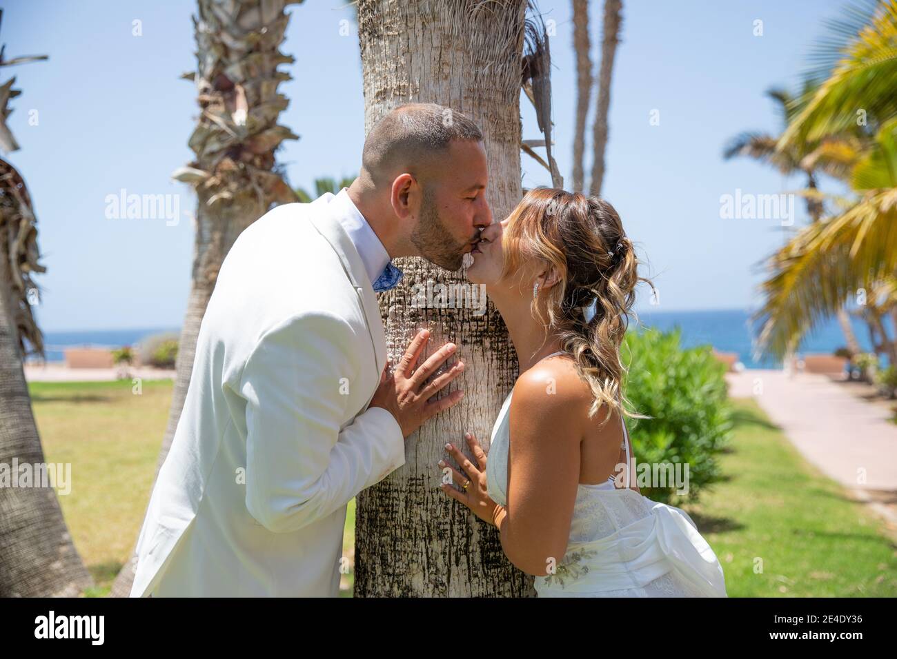 Bräutigam und Braut küssen in einem Park, Brautpaar während eines erstaunlichen sonnigen Tag feiern ihre Hochzeit küssen. Stockfoto