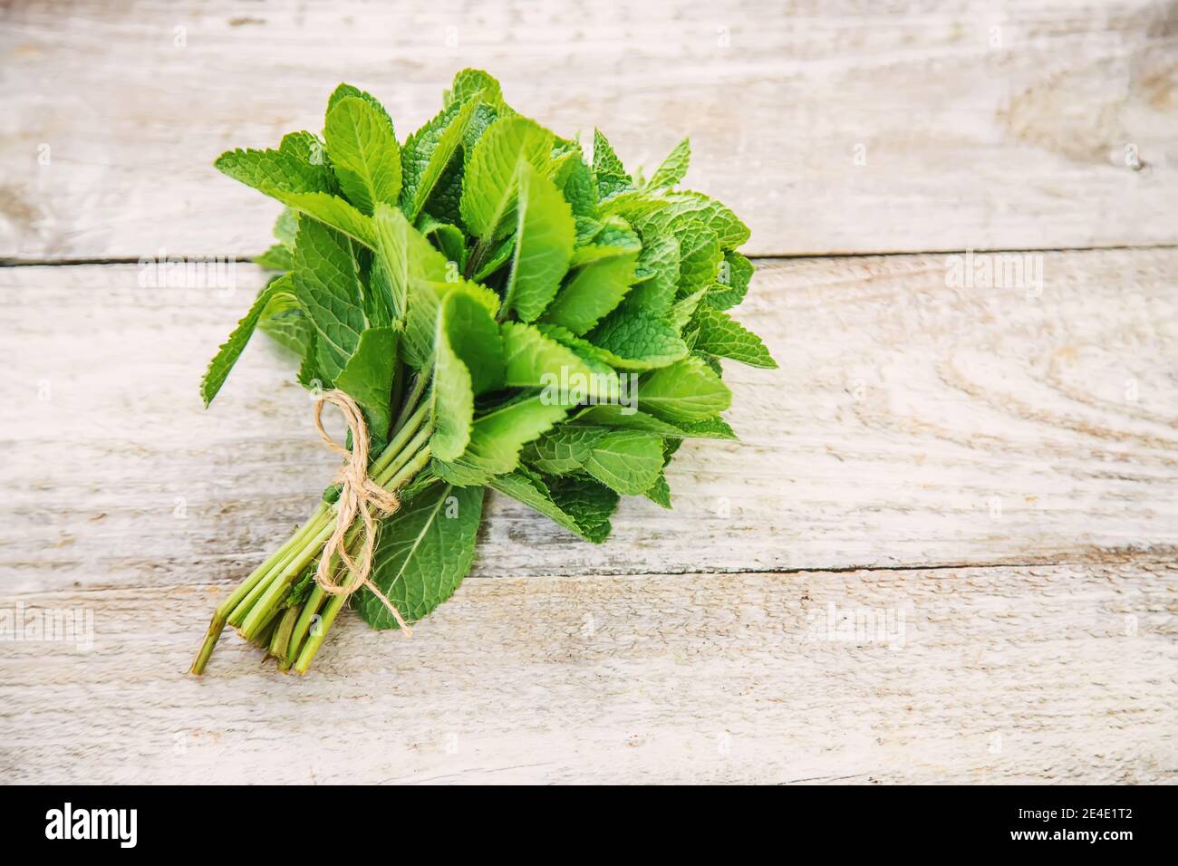 Frisches hausgemachtes Gemüse aus dem Garten. Selektiver Fokus.Natur Stockfoto