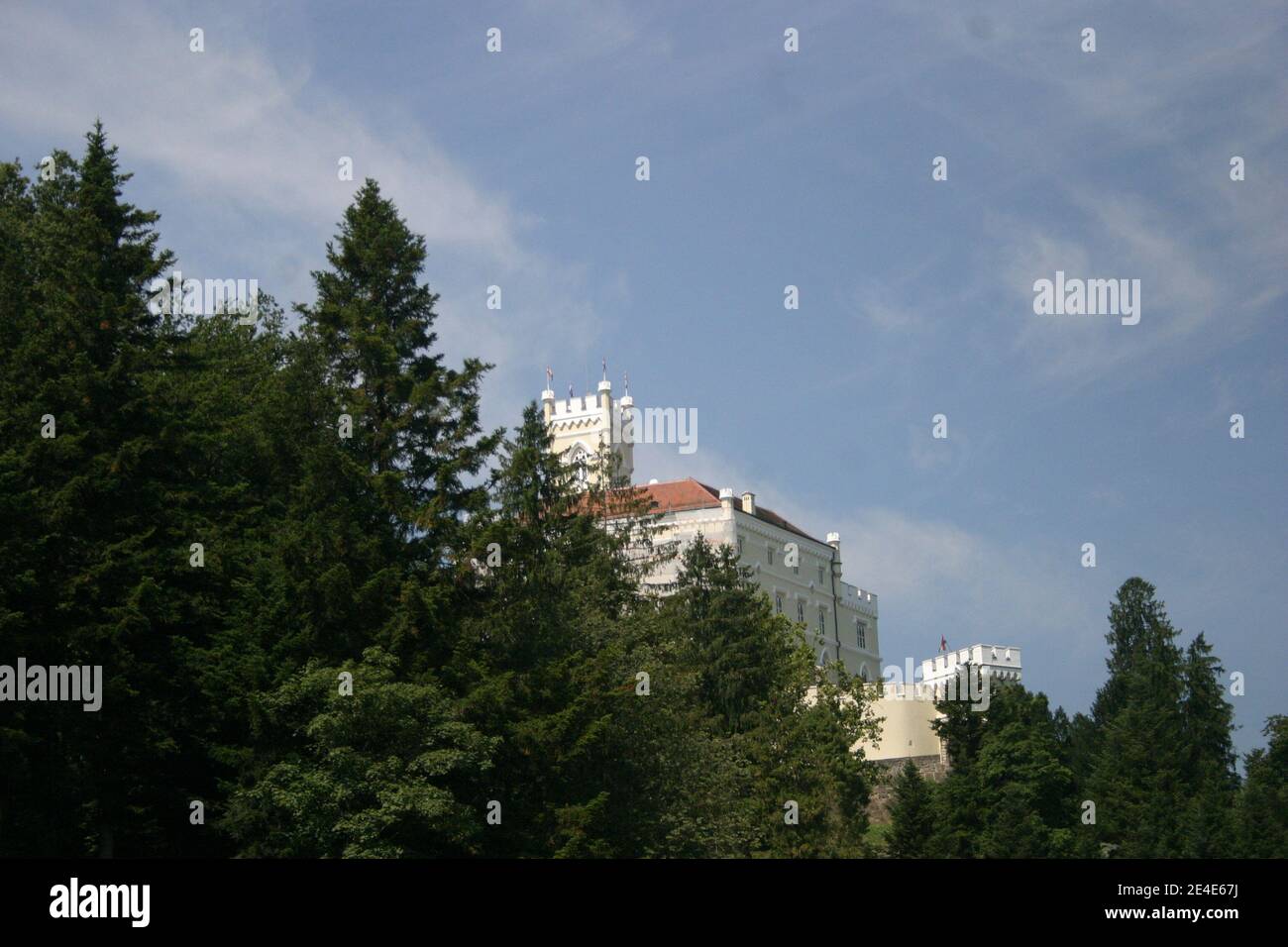 Die Burg Trakošćan hinter Pinien auf einem Hügel Stockfoto