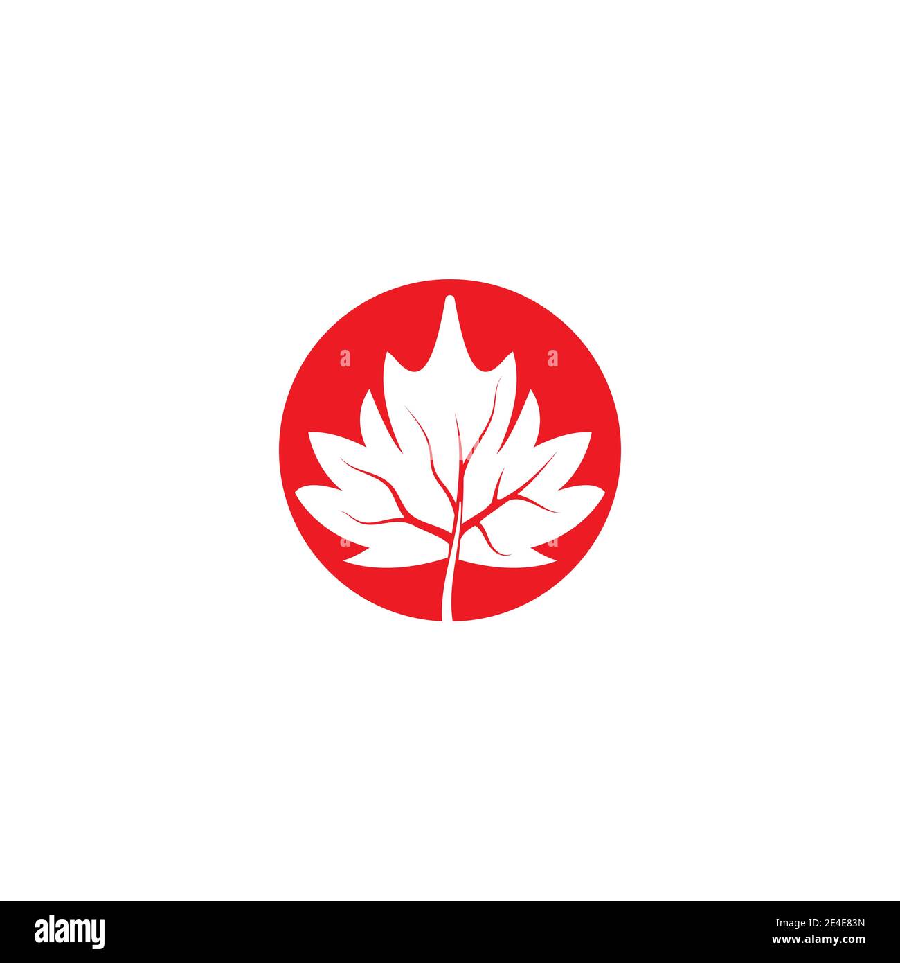 Maple Leaf Vector Illustration Design Template Stock Vektor