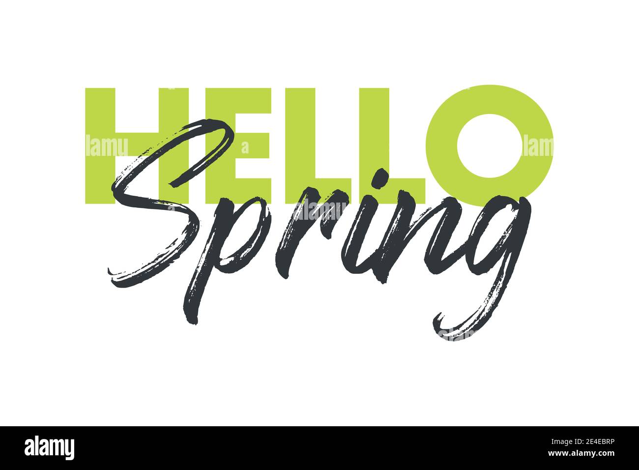 Modernes, verspieltes, lebendiges Grafikdesign des Sprichwort „Hello Spring“ in Gelb- und Grautönen. Handgeschriebene Typografie im Pinselstil. Stockfoto