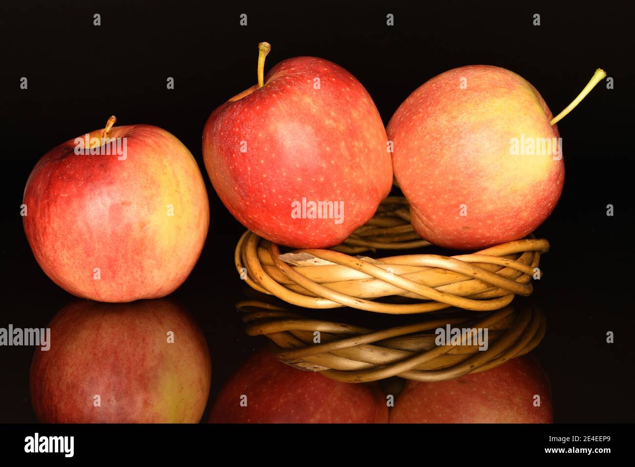 Zwei ganze, rote Bio-reife saftige süße Äpfel liegen auf einem runden Weidenring aus Zweigen und ein ganzer Apfel liegt daneben, auf schwarzem Hintergrund. Stockfoto