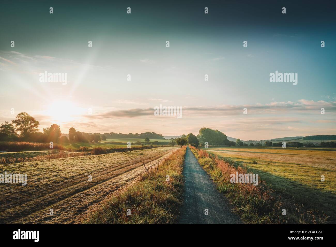 Sonniger Waldweg im goldenen Herbst Stockfoto