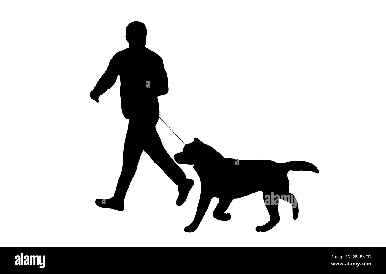 Silhouette man ist Walking Hund zusammen Vektor Illustration Konzept über Tiere und Haustiere isoliert weißen Hintergrund Stock Vektor