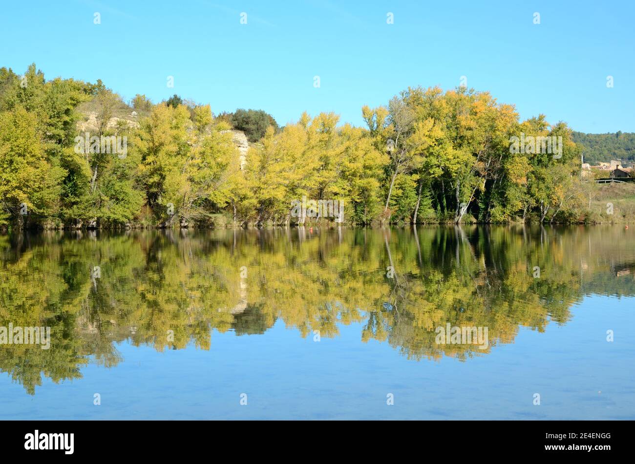 Am See spiegeln sich Bäume im Quinson Lake am Verdon River Im Regionalpark Verdon Alpes-de-Haute-Provence Frankreich Stockfoto