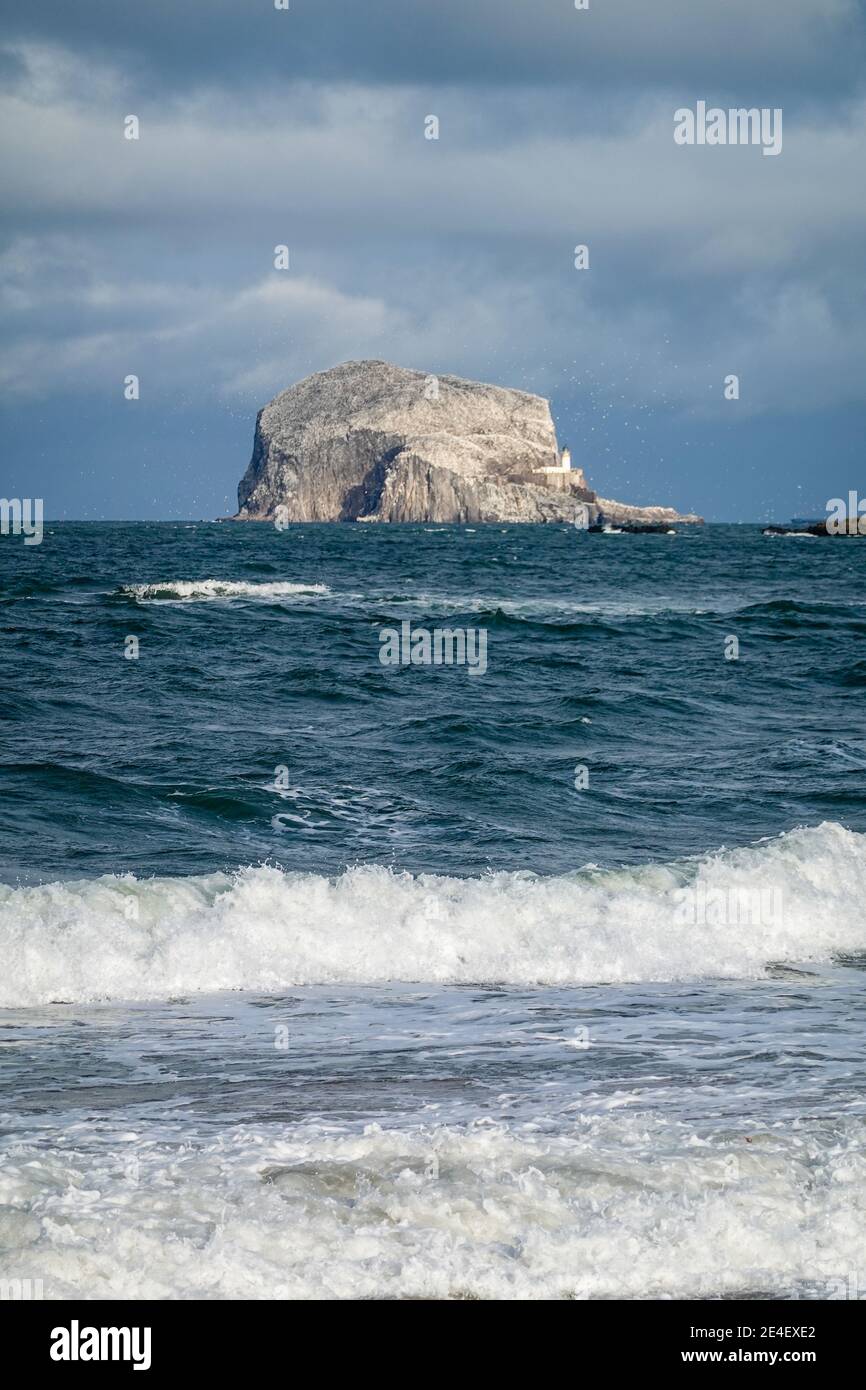 Bass Rock, von Milsey Bay, North Berwick - Heimat von Gantets Stockfoto