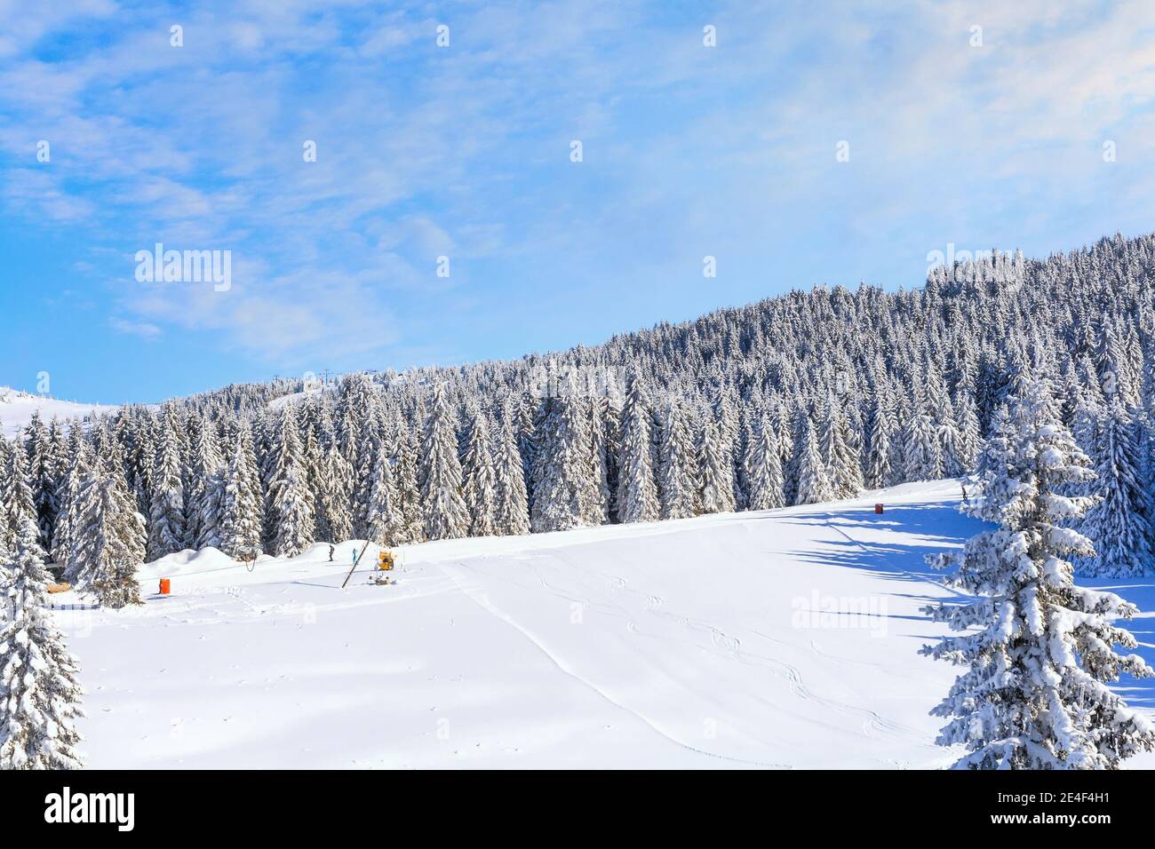 Kopaonik, Serbien Skigebiet Panorama mit Skipiste, Skifahrer, schneebedeckte Bäume im Winter Stockfoto