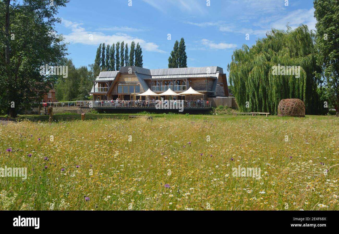 Blumenwiese und Café in der Jordans Mühle. Stockfoto