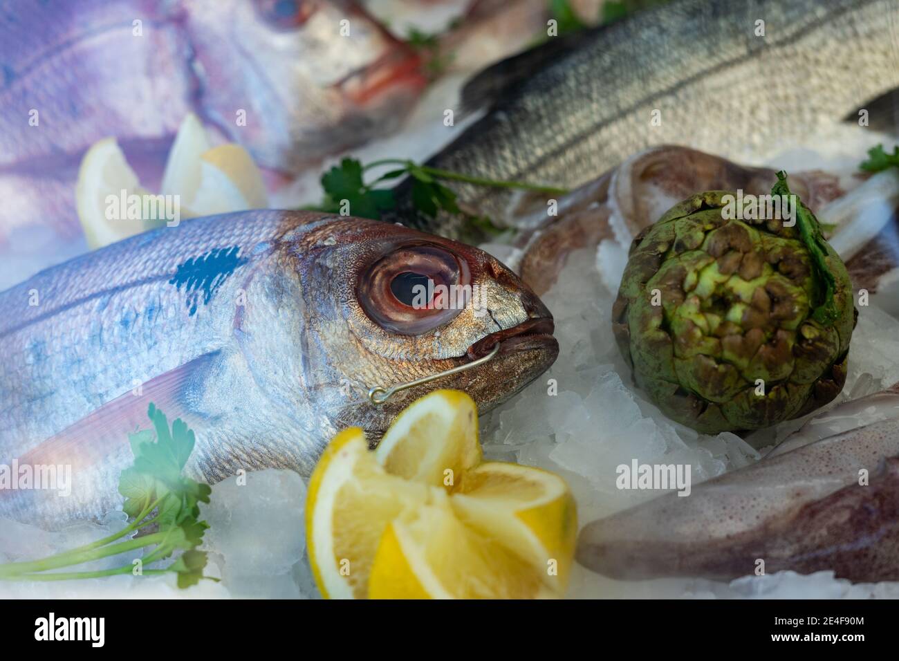 Große Fische und ungekochte Gemüse in einer Vitrine mit Eis, Fisch mit Haken im Mund.gesunde Ernährung Konzept selektiver Ansatz [...] Stockfoto