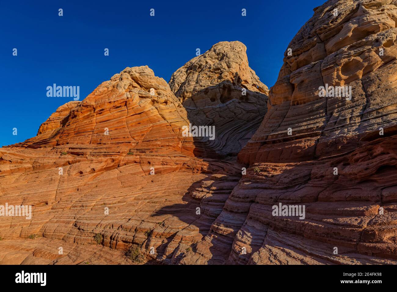 Navajo Sandsteinformationen von White Pocket, Vermilion Cliffs National Monument, Arizona, USA Stockfoto