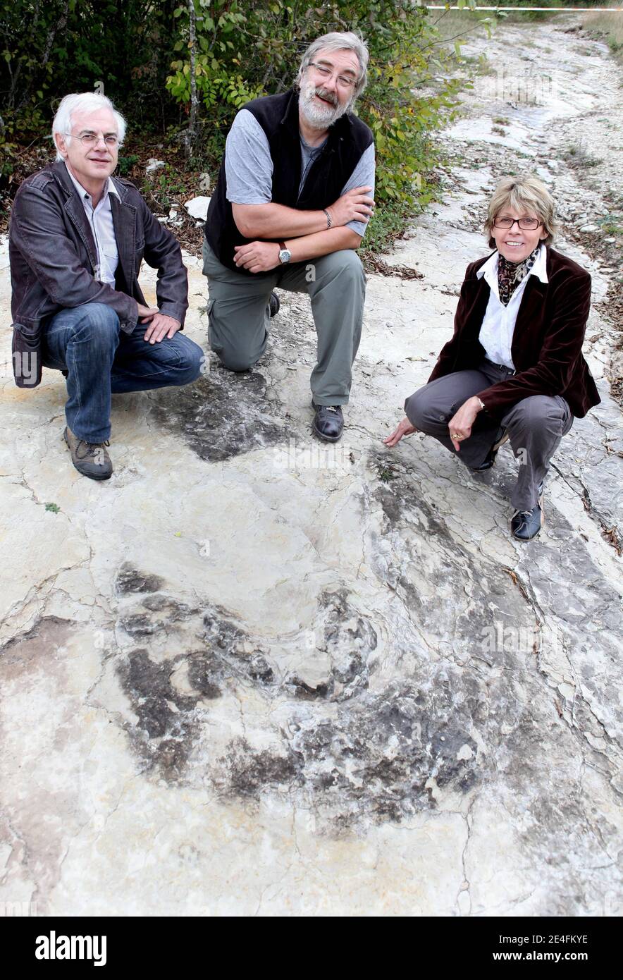 Patrice Landry Jean Michel Mazin (CNRS) und Marie Helen Marcaud, Geologen und Paläontologen, stehen vor ihrer jüngsten Entdeckung eines gut erhaltenen Sauropoden-Dinosaurier-Fußabdrucks, zwischen 1.5 und zwei Meter Durchmesser in der Nähe von Plagne, Jura, Ostfrankreich am 6. Oktober 2009. Die Entdeckung, die im April gemacht wurde und vor 150 Millionen Jahren stammt, wurde von Wissenschaftlern als einzigartige Entdeckung bestätigt. Dies sind vielleicht die größten Sauropoden-Dinosaurier-Spuren, die je auf der Welt entdeckt wurden, so der Nationale Forschungsrat (CNRS).Foto: Vincent Dargent/ab Stockfoto