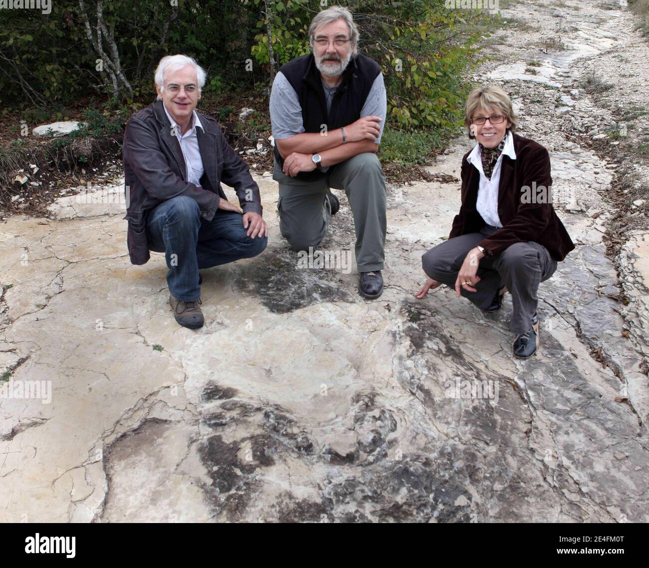 Patrice Landry Jean Michel Mazin (CNRS) und Marie Helen Marcaud, Geologen und Paläontologen, stehen vor ihrer jüngsten Entdeckung eines gut erhaltenen Sauropoden-Dinosaurier-Fußabdrucks, zwischen 1.5 und zwei Meter Durchmesser in der Nähe von Plagne, Jura, Ostfrankreich am 6. Oktober 2009. Die Entdeckung, die im April gemacht wurde und vor 150 Millionen Jahren stammt, wurde von Wissenschaftlern als einzigartige Entdeckung bestätigt. Dies sind vielleicht die größten Sauropoden-Dinosaurier-Spuren, die je auf der Welt entdeckt wurden, so der Nationale Forschungsrat (CNRS).Foto: Vincent Dargent/ab Stockfoto