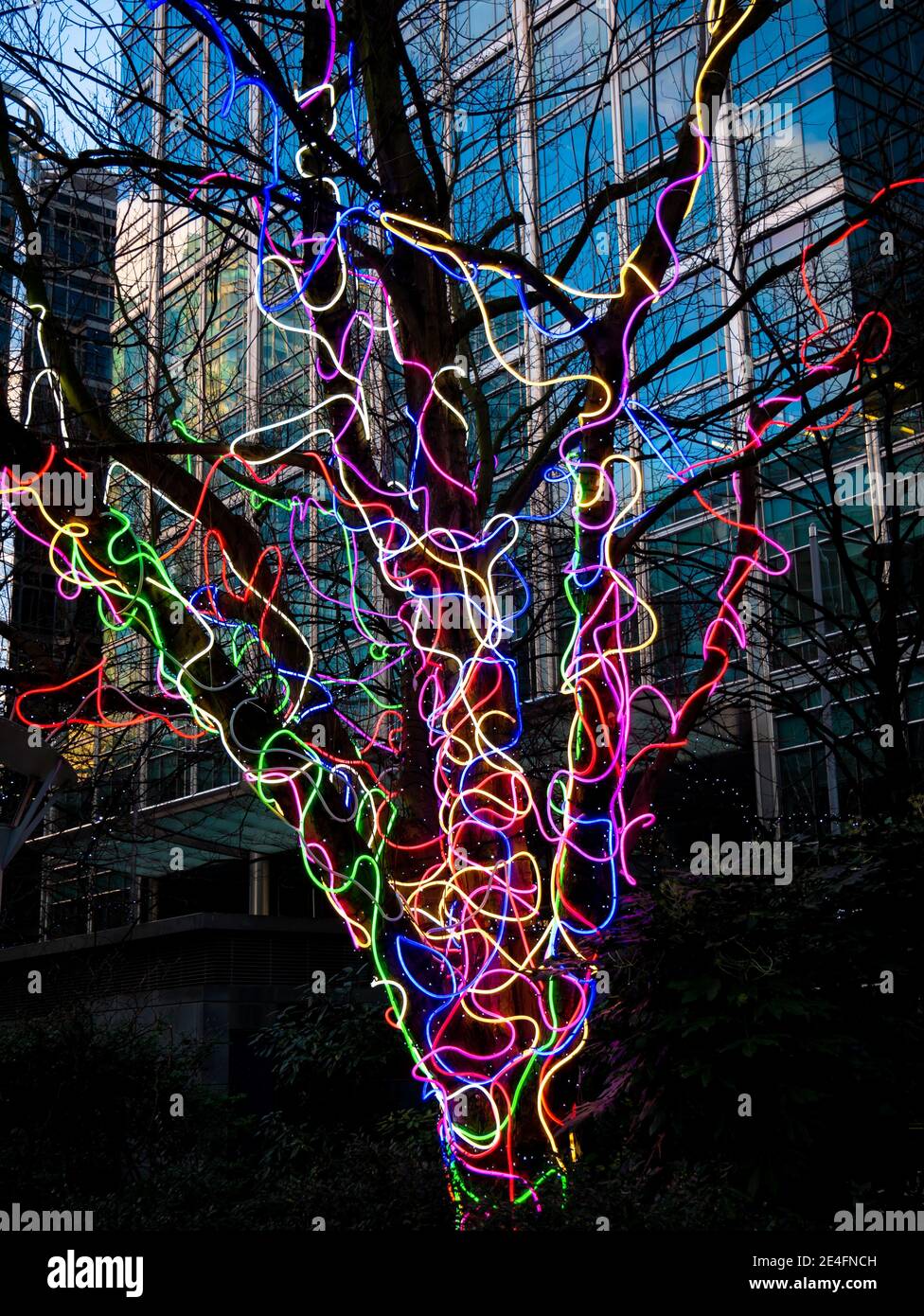 Mehrfarbige Wired Baum beleuchtet im Freien in der Nacht im Winter Weihnachtsferien, in London Stockfoto
