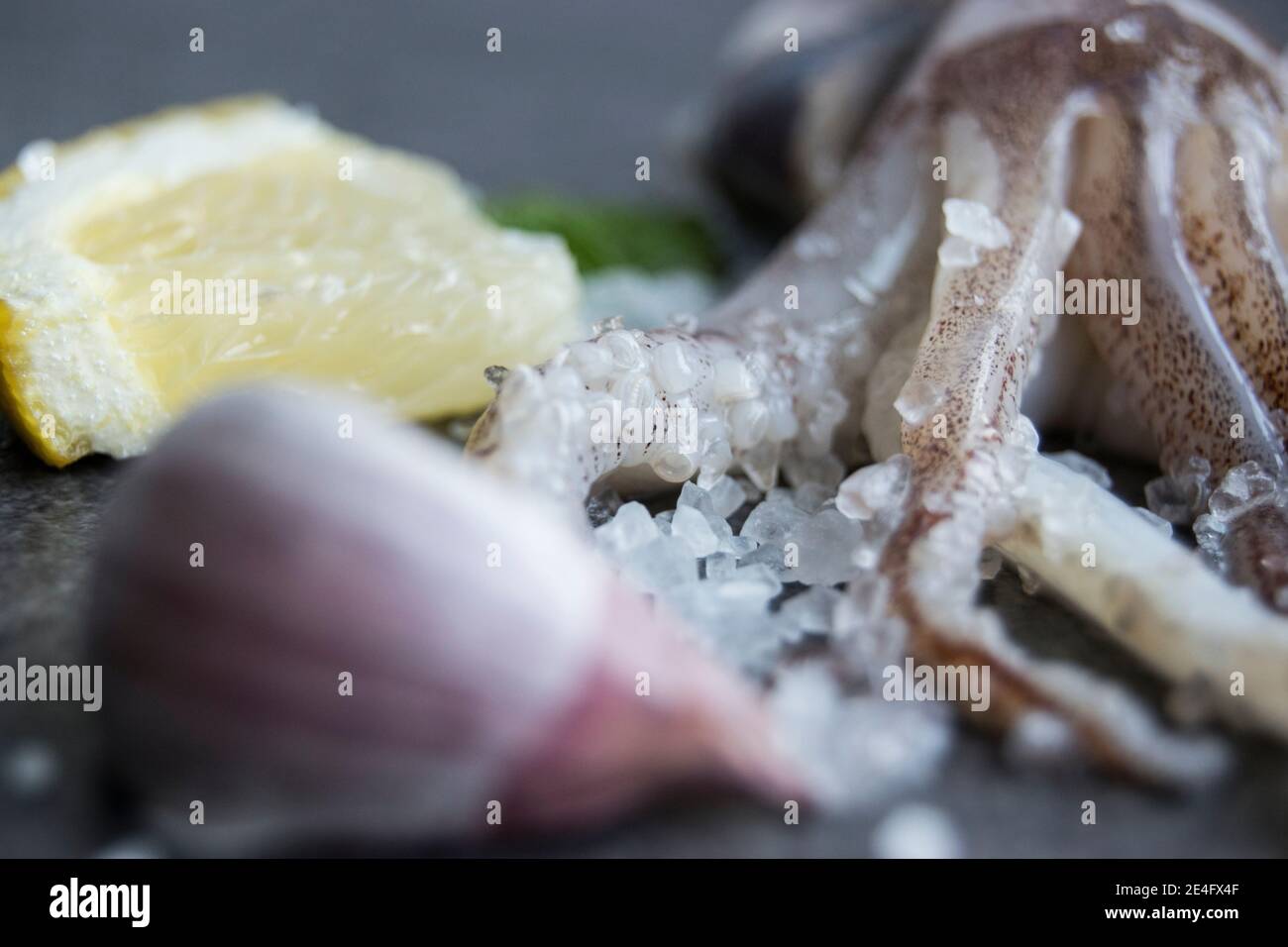 Tintenfisch Tentakeln auf einer Schieferplatte mit Zitrone und Knoblauch Stockfoto