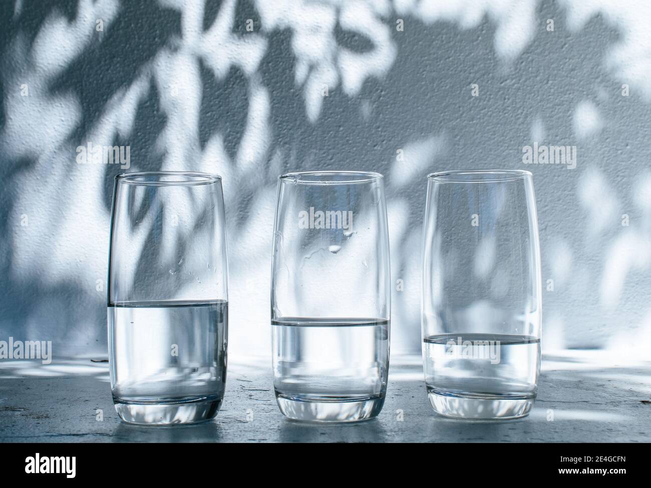 Drei Gläser Wasser stehen auf einem weißen Rand dagegen Eine helle weiße Wand mit Schatten der Blätter auf einem Sonniger Sommertag Stockfoto