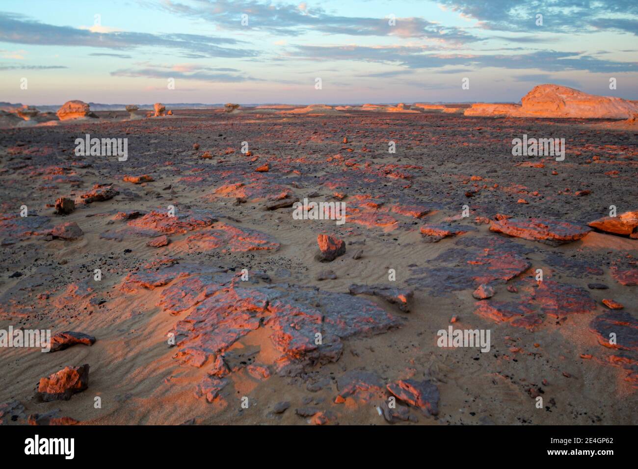 Sonnenaufgang in der libyschen Wüste, weiße Wüste, Kalksteinformationen im Vordergrund, Farafra, Ägypten Stockfoto