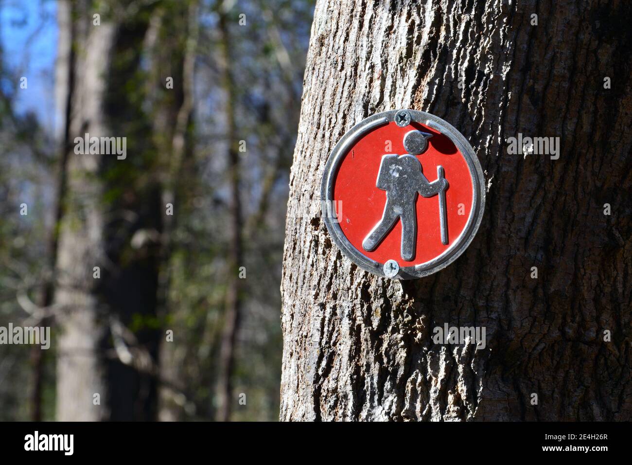 Eine rote Wandermarkierung im Yates Mill County Park in Raleigh, North Carolina. Stockfoto