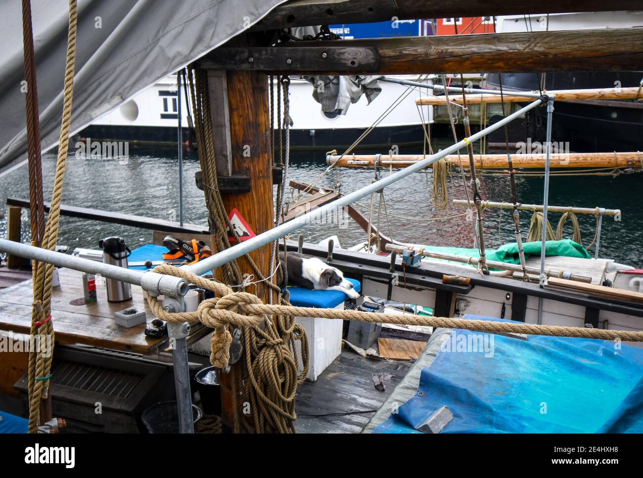 Ein Hund entspannt sich an Deck eines alten Segelbootes im Nyhavn Kanal im historischen Zentrum von Kopenhagen, Dänemark Stockfoto
