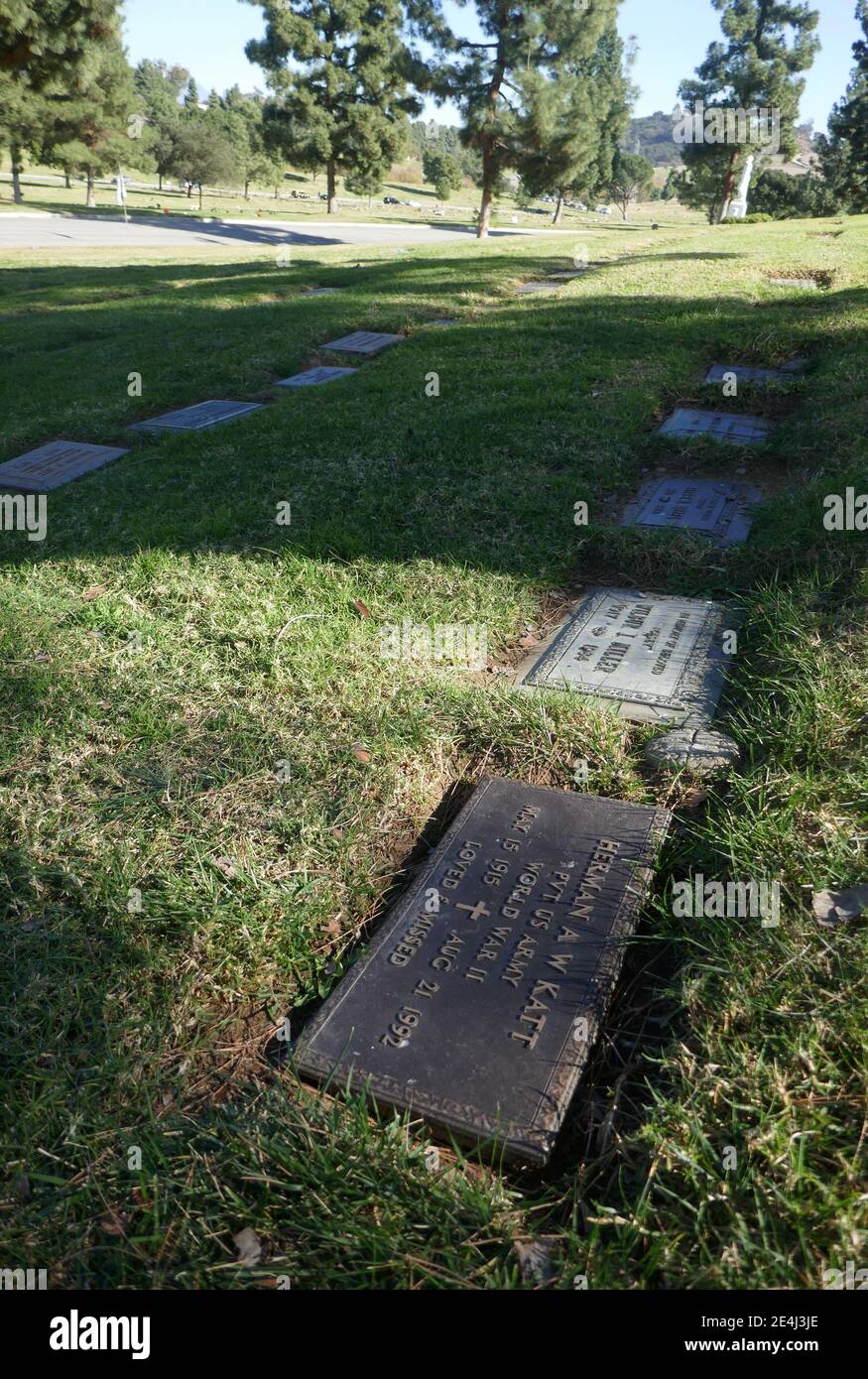 Los Angeles, Kalifornien, USA 21. Januar 2021 EIN allgemeiner Blick auf die Atmosphäre des Schauspielers Bill Williams alias William Herman Katts Grab und seiner Frau Barbara Hales Grab (unmarkiert) im Forest Lawn Memorial Park Hollywood Hills am 21. Januar 2021 in Los Angeles, Kalifornien, USA. Foto von Barry King/Alamy Stockfoto Stockfoto