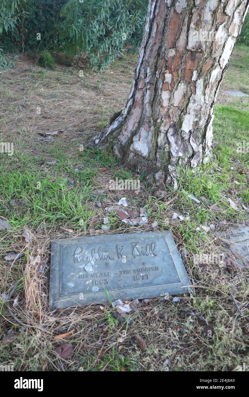 Los Angeles, Kalifornien, USA 21. Januar 2021 EIN allgemeiner Blick auf die Atmosphäre des Grabes des Drehbuchautors Leighton Brill im Forest Lawn Memorial Park Hollywood Hills am 21. Januar 2021 in Los Angeles, Kalifornien, USA. Foto von Barry King/Alamy Stockfoto Stockfoto