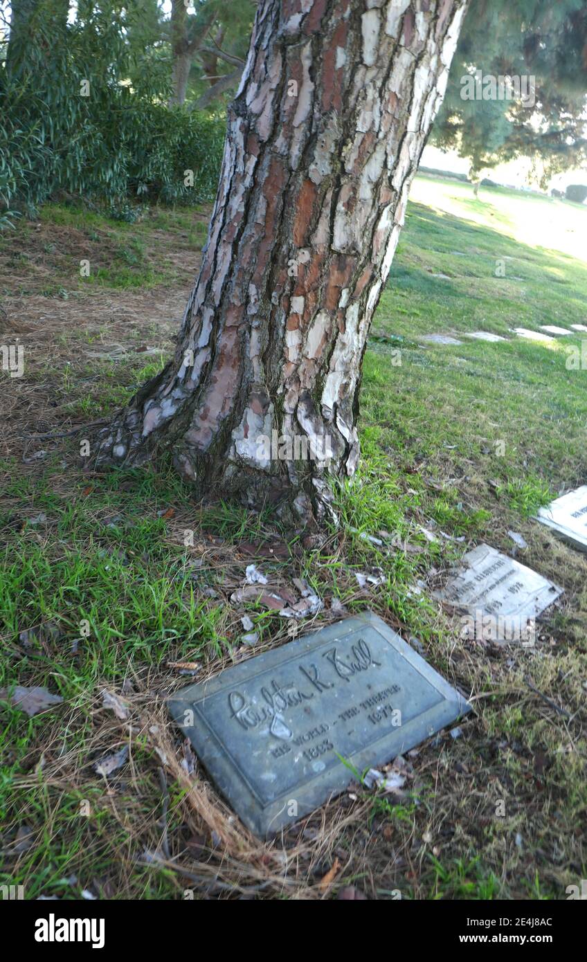 Los Angeles, Kalifornien, USA 21. Januar 2021 EIN allgemeiner Blick auf die Atmosphäre des Grabes des Drehbuchautors Leighton Brill im Forest Lawn Memorial Park Hollywood Hills am 21. Januar 2021 in Los Angeles, Kalifornien, USA. Foto von Barry King/Alamy Stockfoto Stockfoto