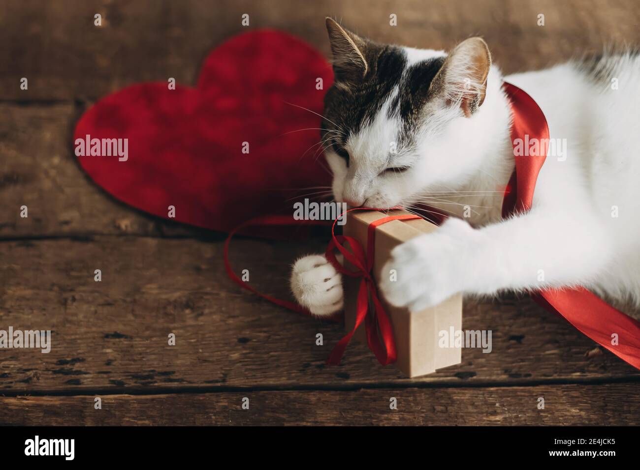 Entzückende Katze spielt mit rotem Band und Geschenkbox auf rustikalem  Holzhintergrund mit Samt Herzen. Alles gute zum Valentinstag. Tiere lieben  Konzept. Netter Spaß Stockfotografie - Alamy