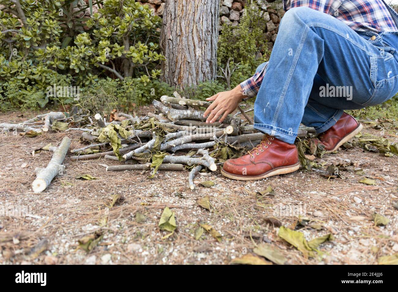 Menschen sammeln von Feuerholz Stockfoto