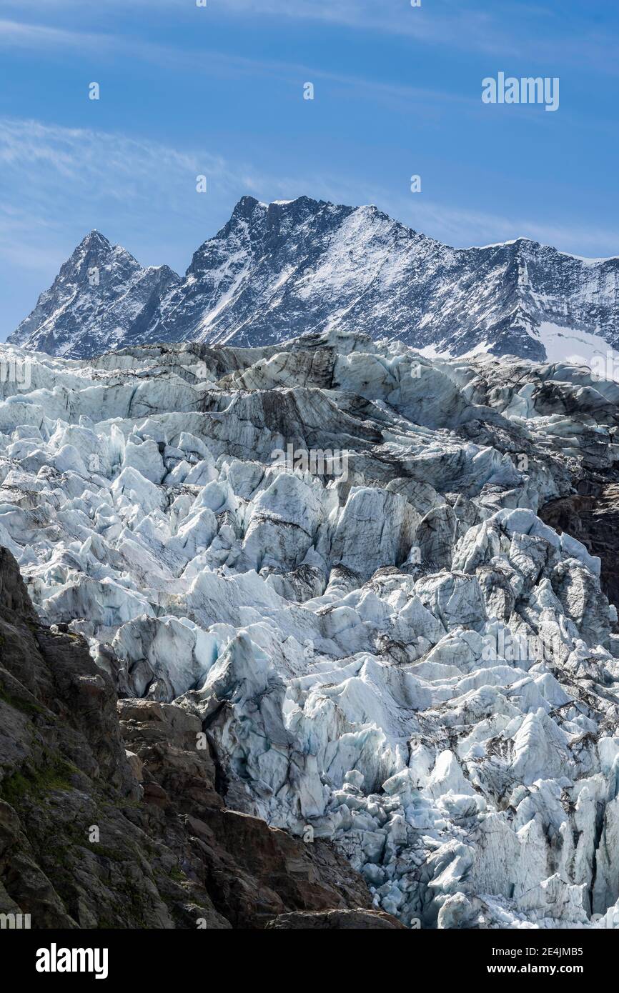 Hochalpine Berglandschaft, niederer Arktischer Ozean, Agassizhorn und Finsteraarhorn Berggipfel, Gletscherzunge, Berner Oberland, Schweiz Stockfoto