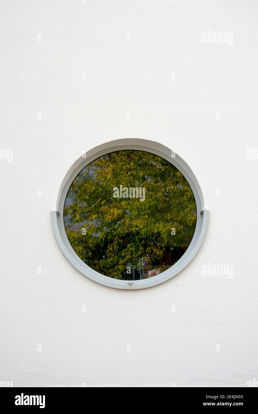 Baum spiegelt sich im runden Fenster Stockfoto