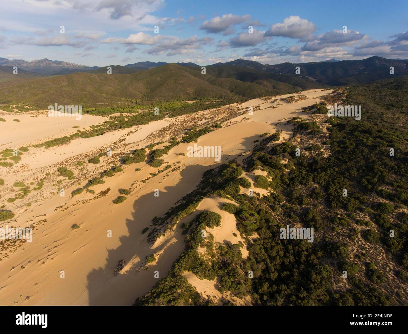 Sanddünen Dune di Piscinas, Costa Verde, Sardinien, Italien Stockfoto