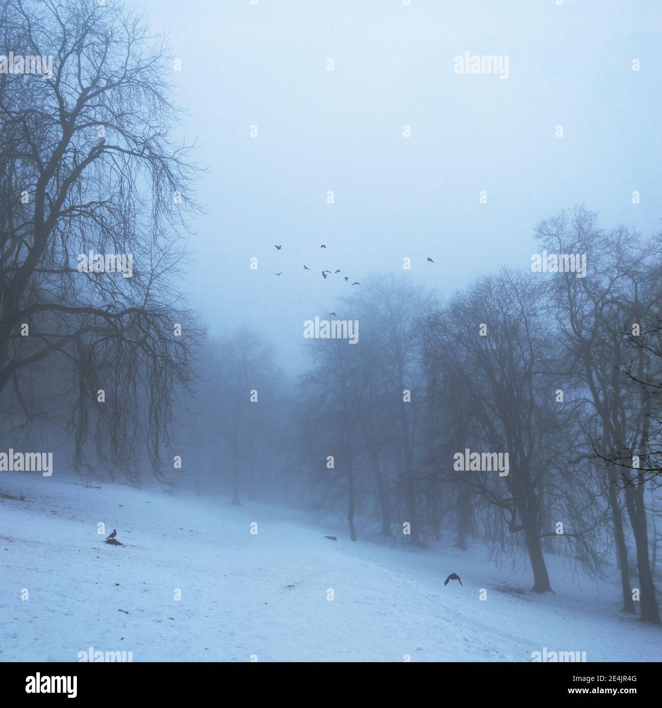 Schneesturm im öffentlichen Park Stockfoto