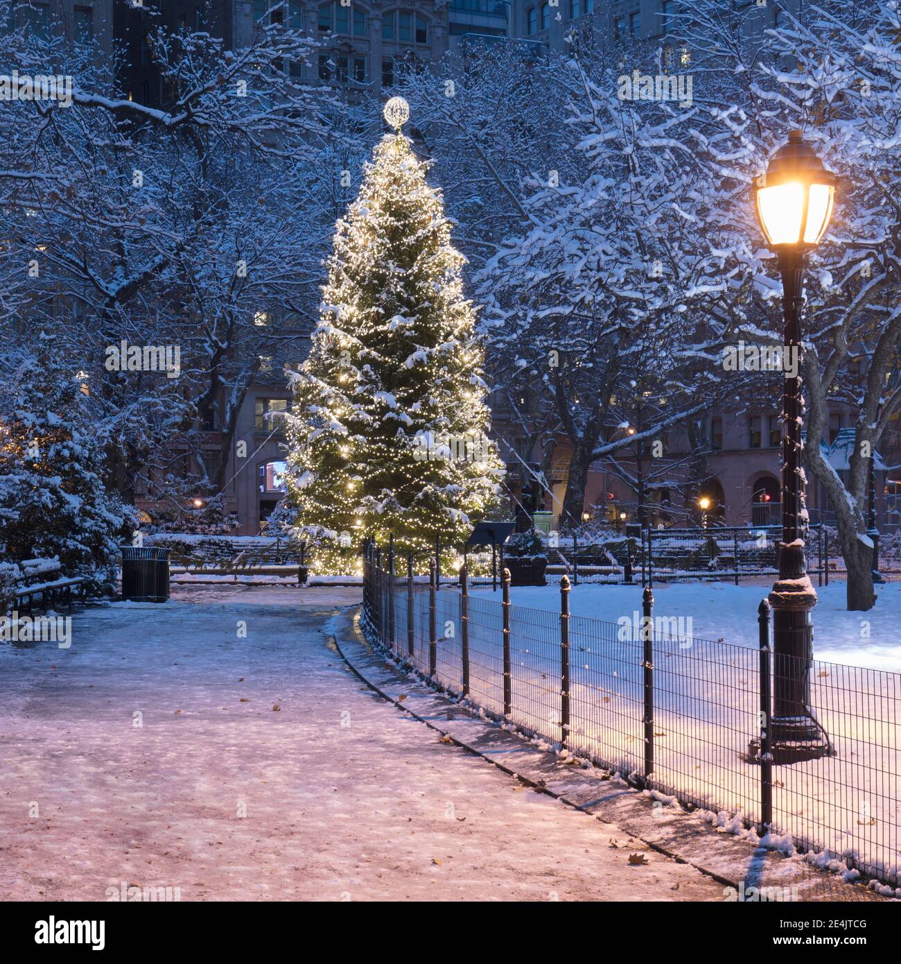 USA, New York, New York City, beleuchtete Weihnachtsbaum im Madison Square Park bei Nacht Stockfoto