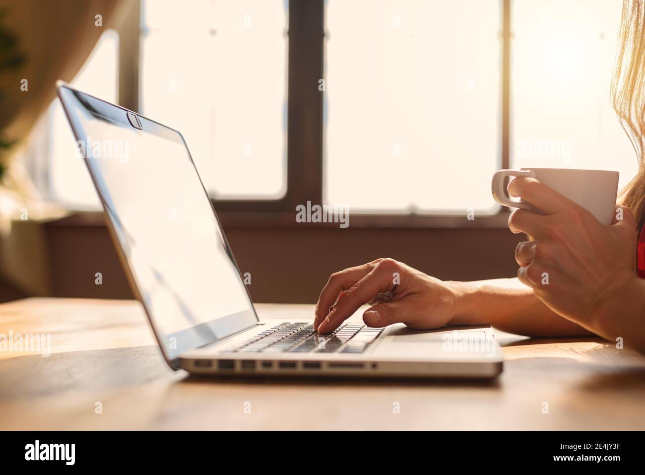 Frau surft im Internet mit ihrem Laptop. Sie arbeitet zu Hause als Smart Working Stockfoto