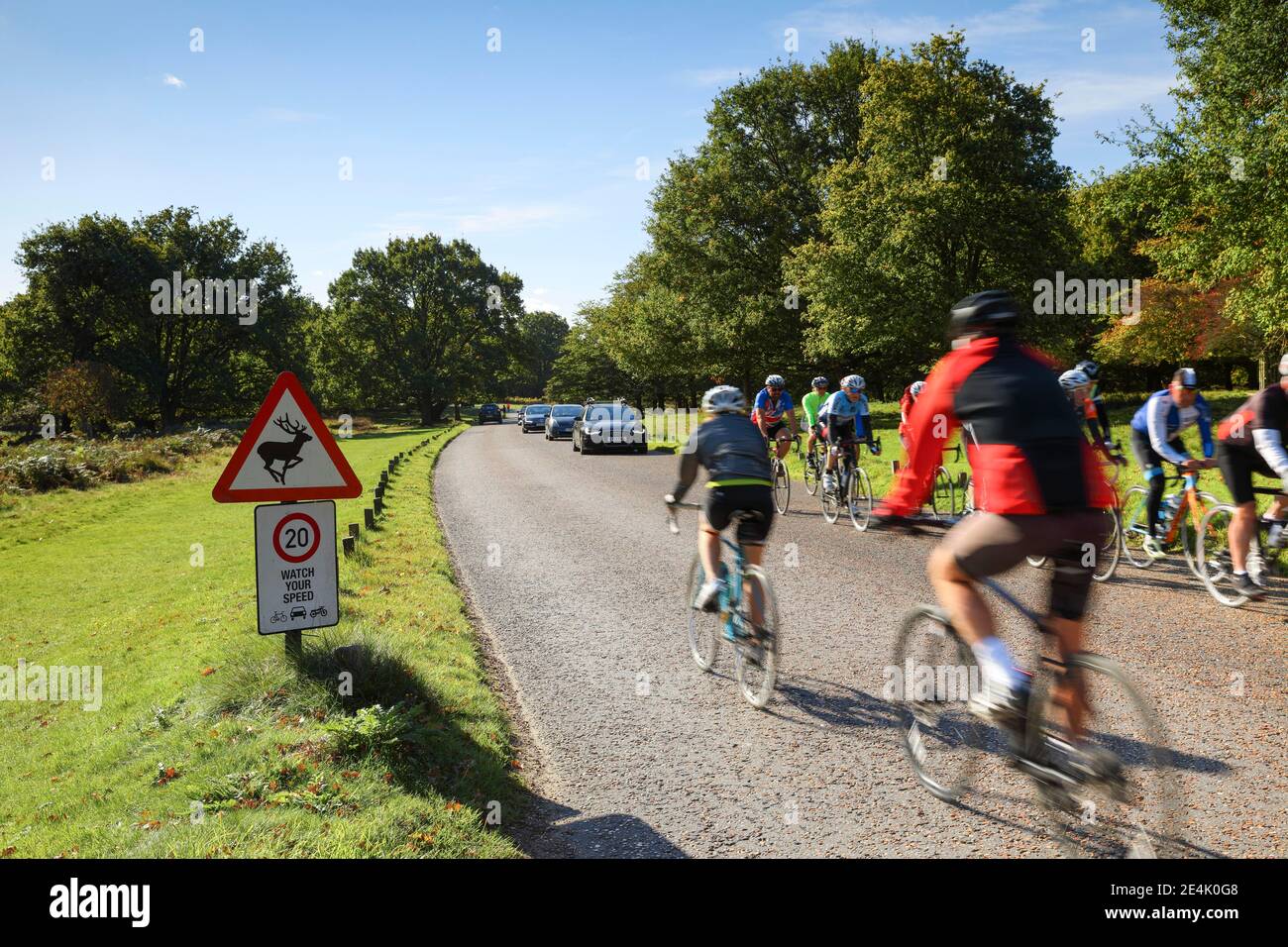 Radfahrer und Autos, Straßenverkehr in Richmond Park, London, England, Vereinigtes Königreich Stockfoto
