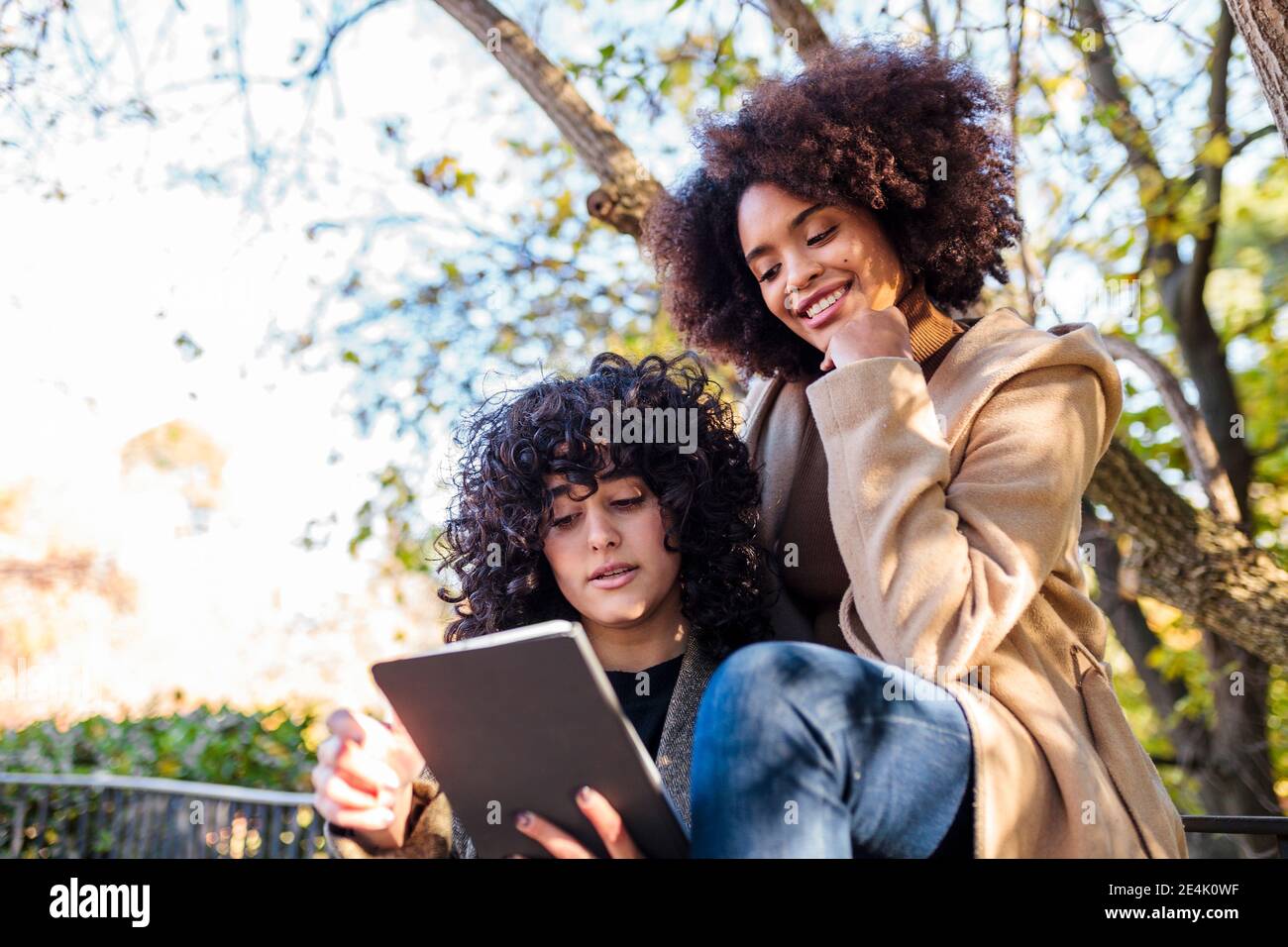 Junge Frau zeigt digitale Tablet zu lächelnden Freund sitzen mit Hand auf Kinn im Park Stockfoto