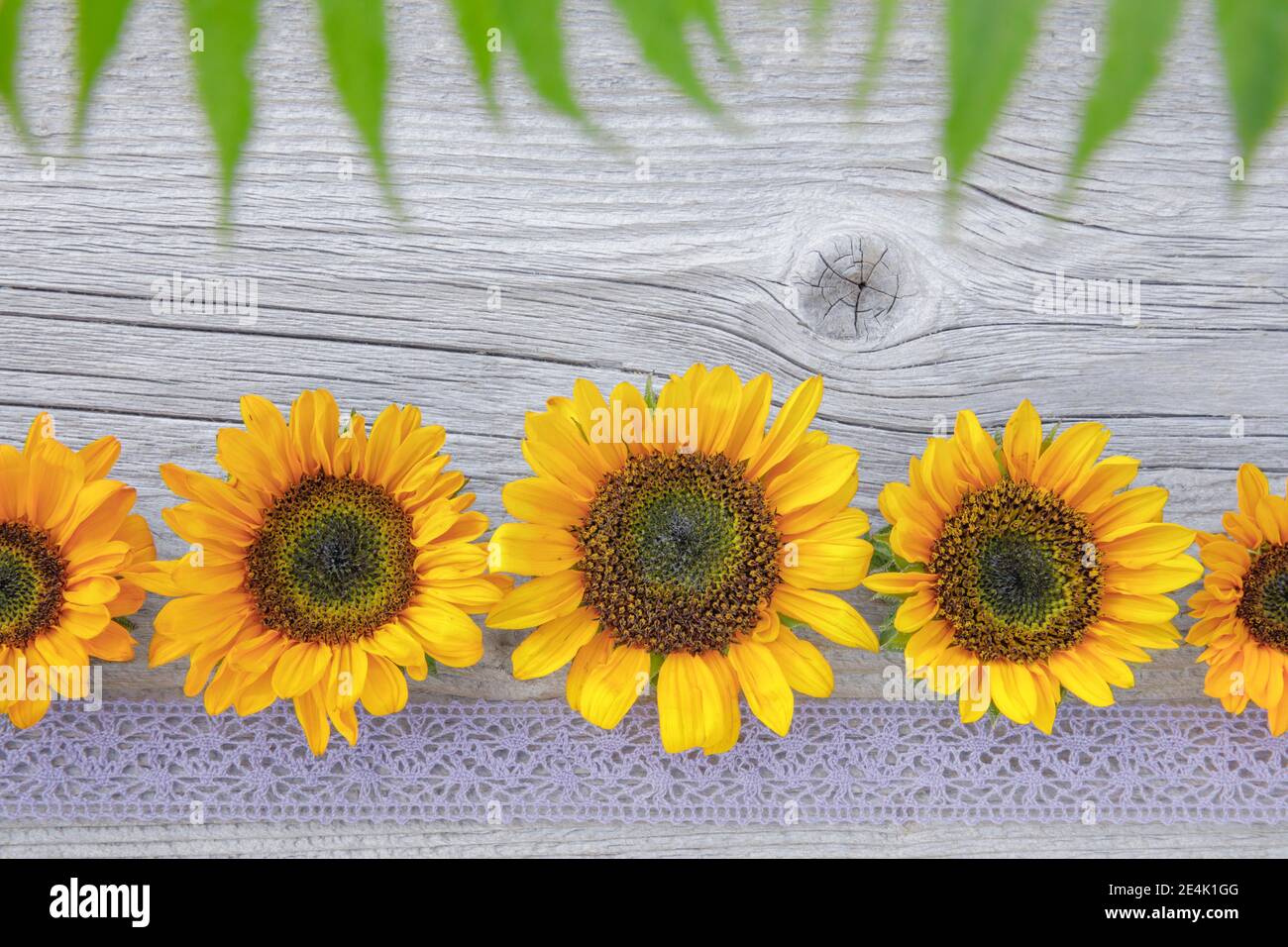 Sonnenblumen Dekoration auf Holz, Blumenarrangement Stockfoto