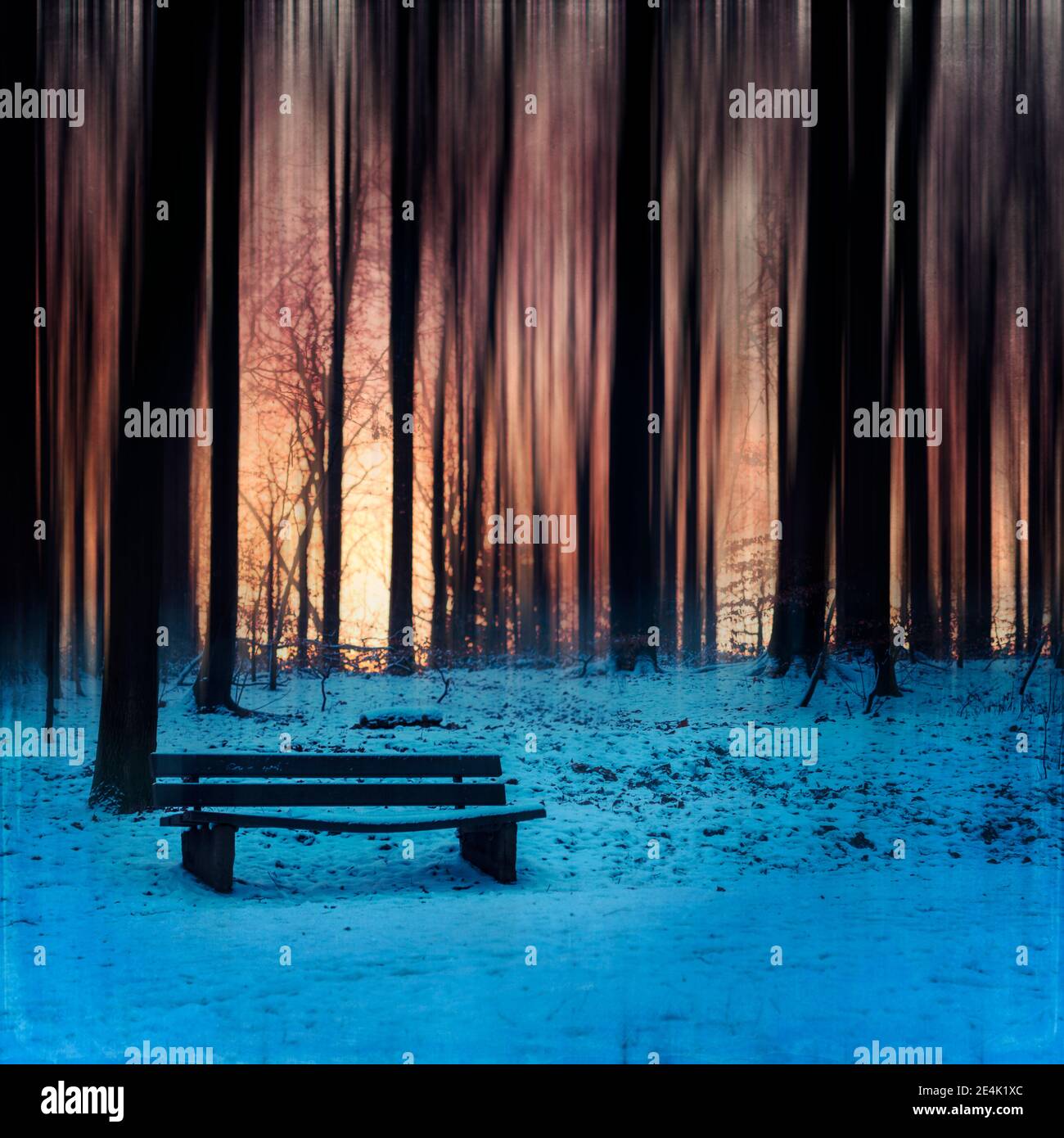Bank mit Schnee bedeckt gegen Baum Silhouette während des Sonnenuntergangs Stockfoto