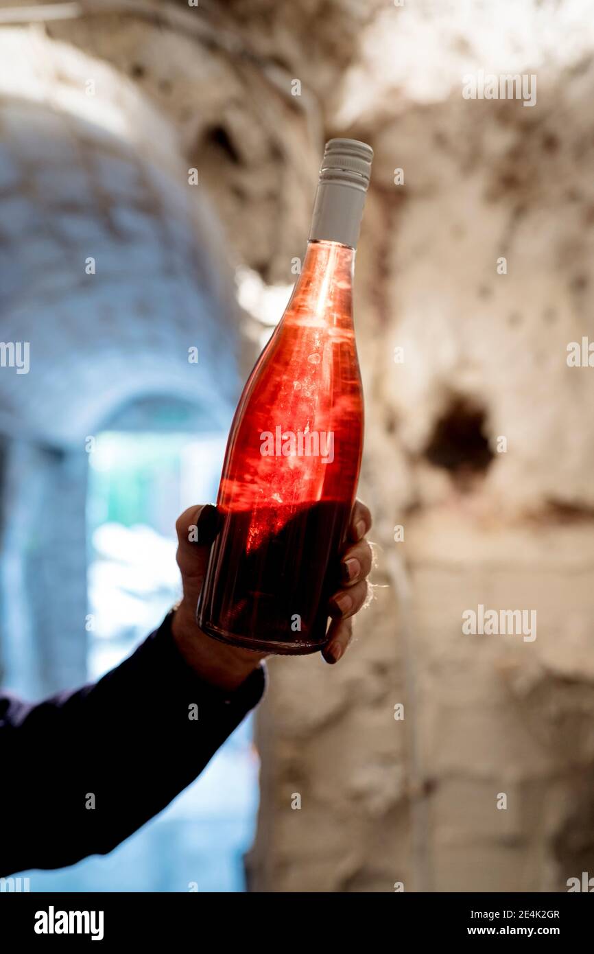 Älterer männlicher Winzer, der eine Flasche Rosenwein hält Stockfoto