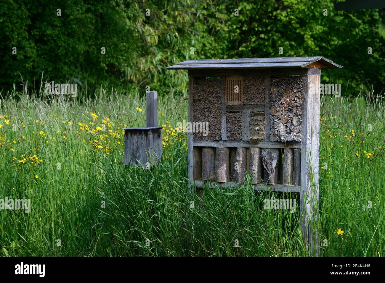 Insektenhotel in blühender Wiese, Insekten, Nisthilfe, Wiese Stockfoto